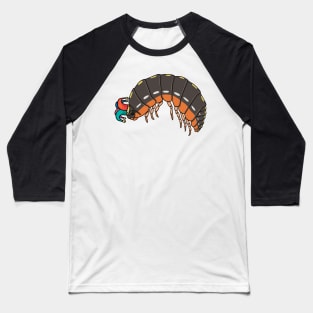 Clown armadillidium Klugii Baseball T-Shirt